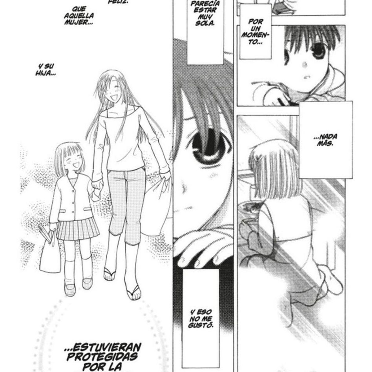EDITORIAL NORMA - Fruits Basket. Edición Coleccionista. No. 11