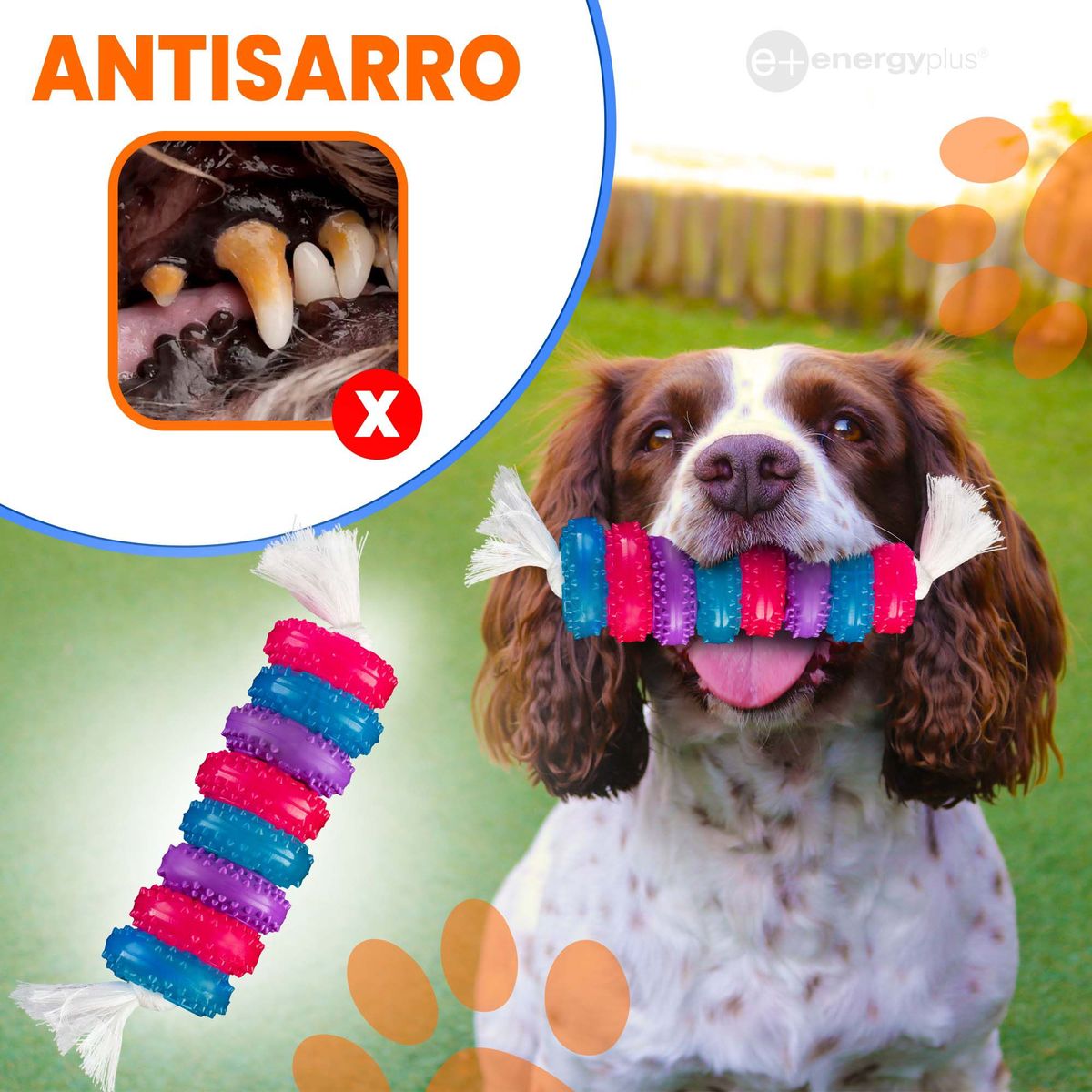 ENERGY PLUS - Juguete para Perros Aro Mordedor Lanzar y Recoger Hembra