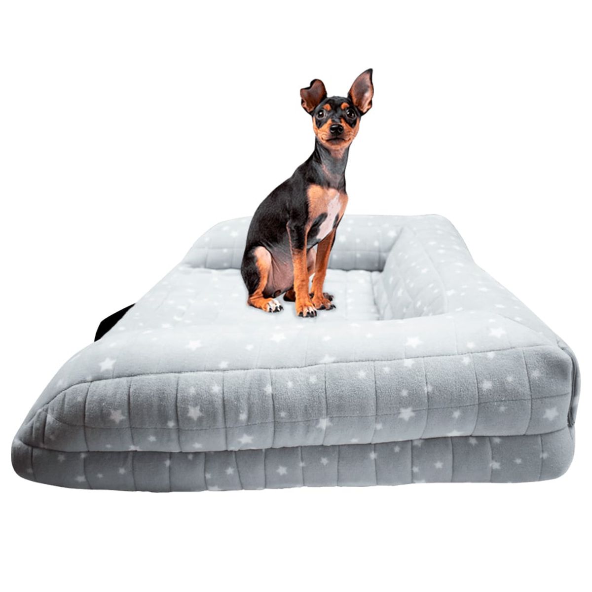 PRIMORDIAL - Cama tipo sofá gris para mascotas 200422