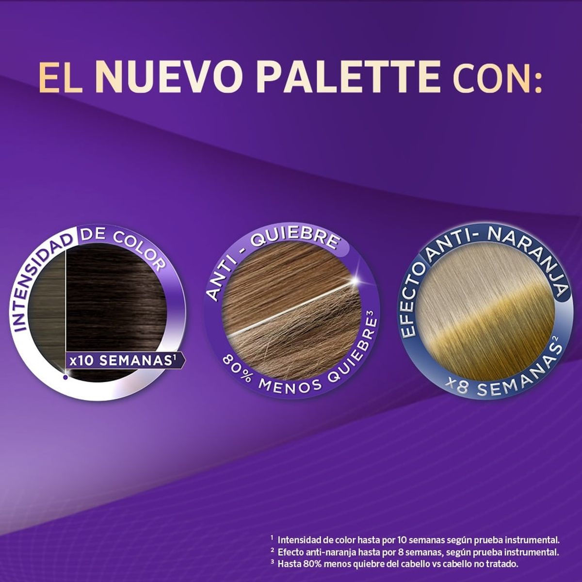 PALETTE - Tinte Palette Color Creme Permanente 8-1 Rubio Claro Cenizo