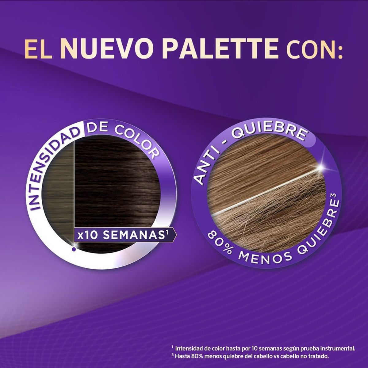 PALETTE - Tinte Palette Color Creme Permanente 1-0 Negro Dt