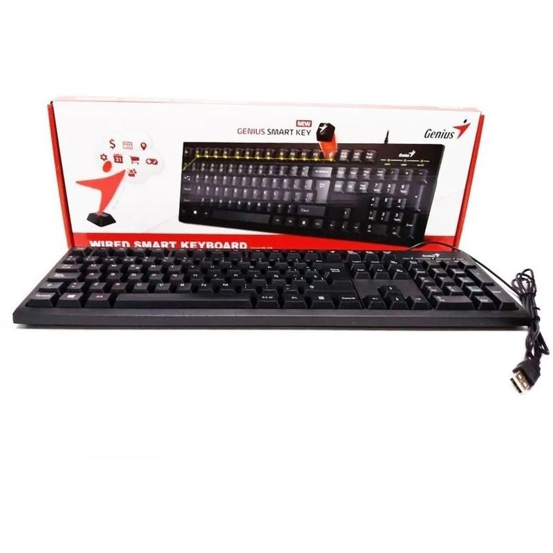 GENIUS - Teclado usb genius smart kb-100