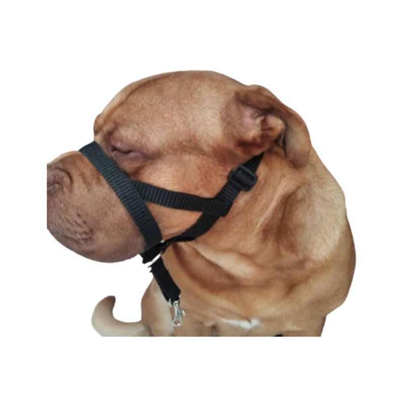 GENERICO - Collar Halti AntiTirones Adiestramiento Talla M Negro