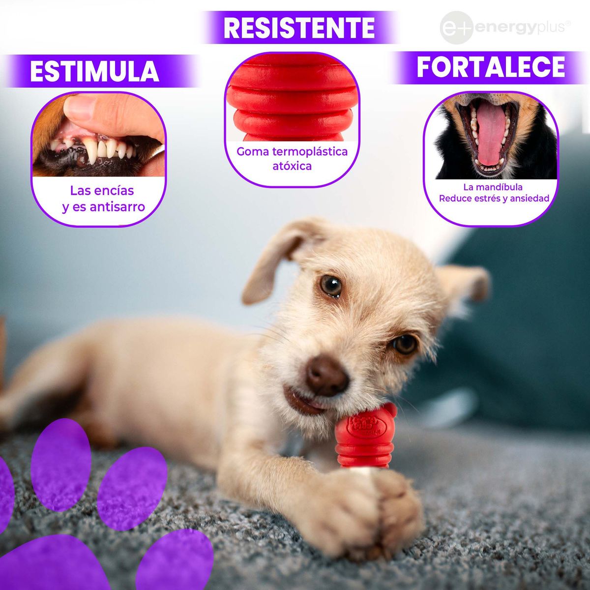 ENERGY PLUS - Kong Juguete y Dispensador para Perros Pequeños Rojo