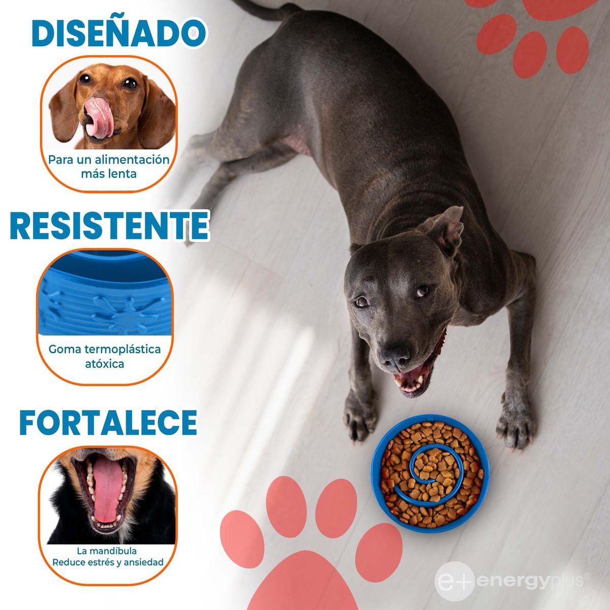 ENERGY PLUS - Plato Comedero Anti-Ansiedad Perros Comer Lento Azul