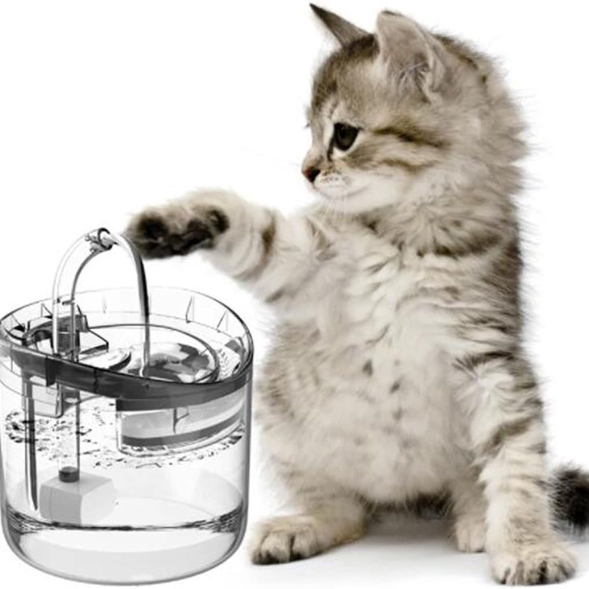 ONE PIXEL - Fuente De Agua Mascotas Bebedero Transparente 2l ONE PIXEL