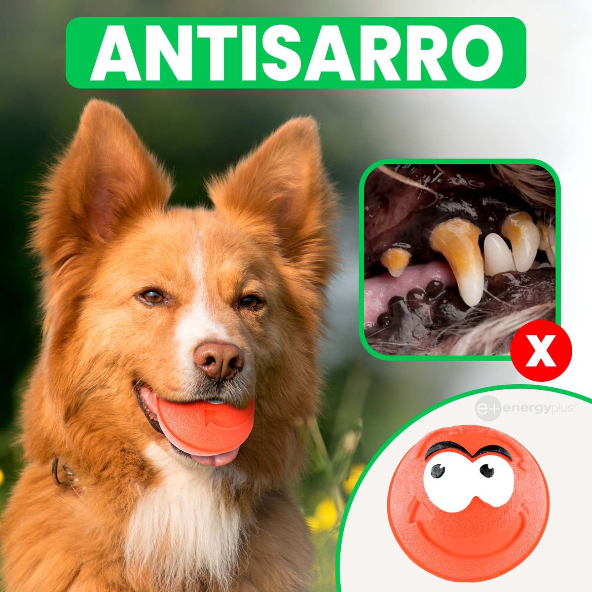ENERGY PLUS - Pelota Maciza de Goma Perros gran rebote y divertida Naranja