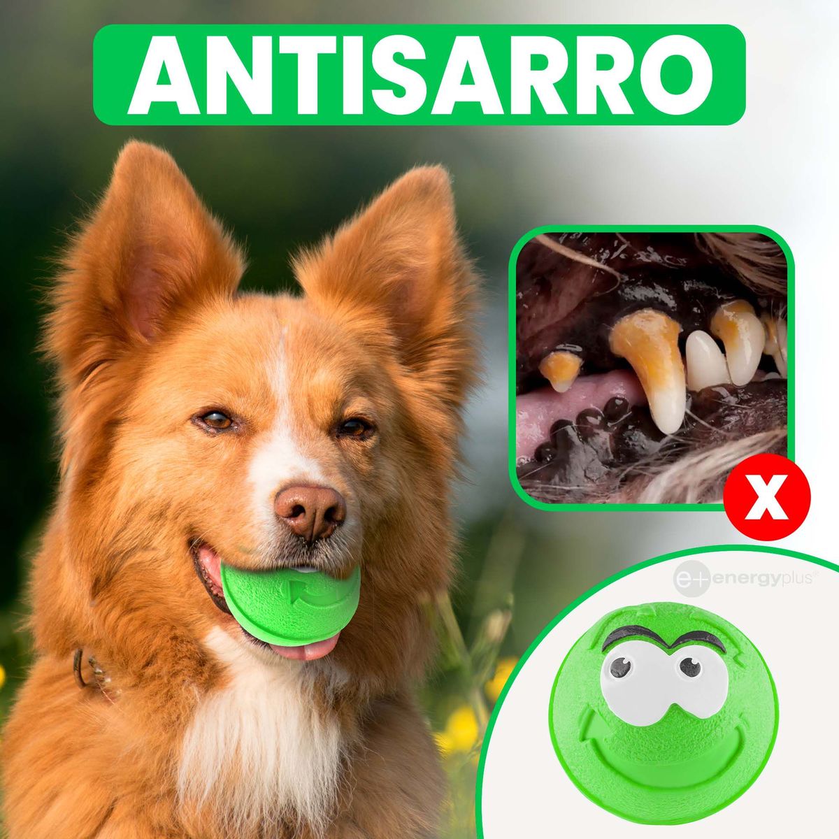 ENERGY PLUS - Pelota Maciza de Goma Perros gran rebote y divertida Verde