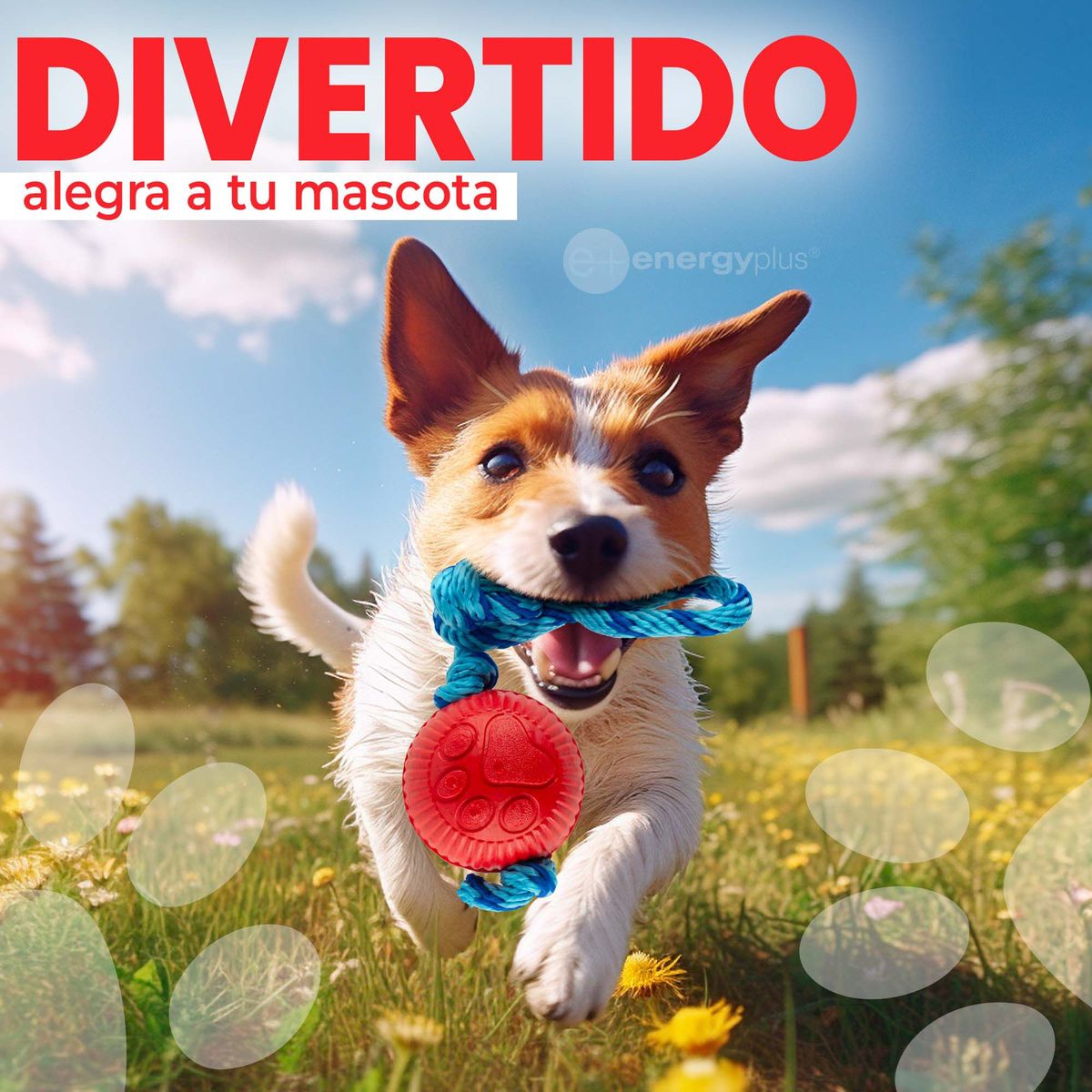 ENERGY PLUS - Juguete pelota y cuerda resistente para perros medianos Rojo