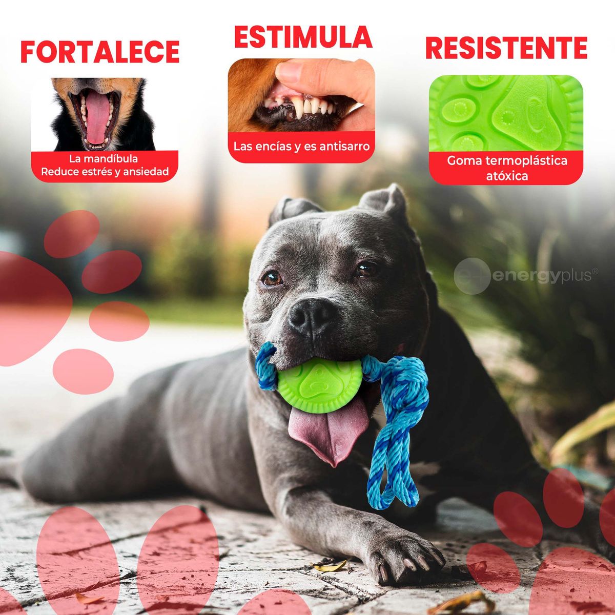 ENERGY PLUS - Juguete pelota y cuerda resistente perros medianos Verde