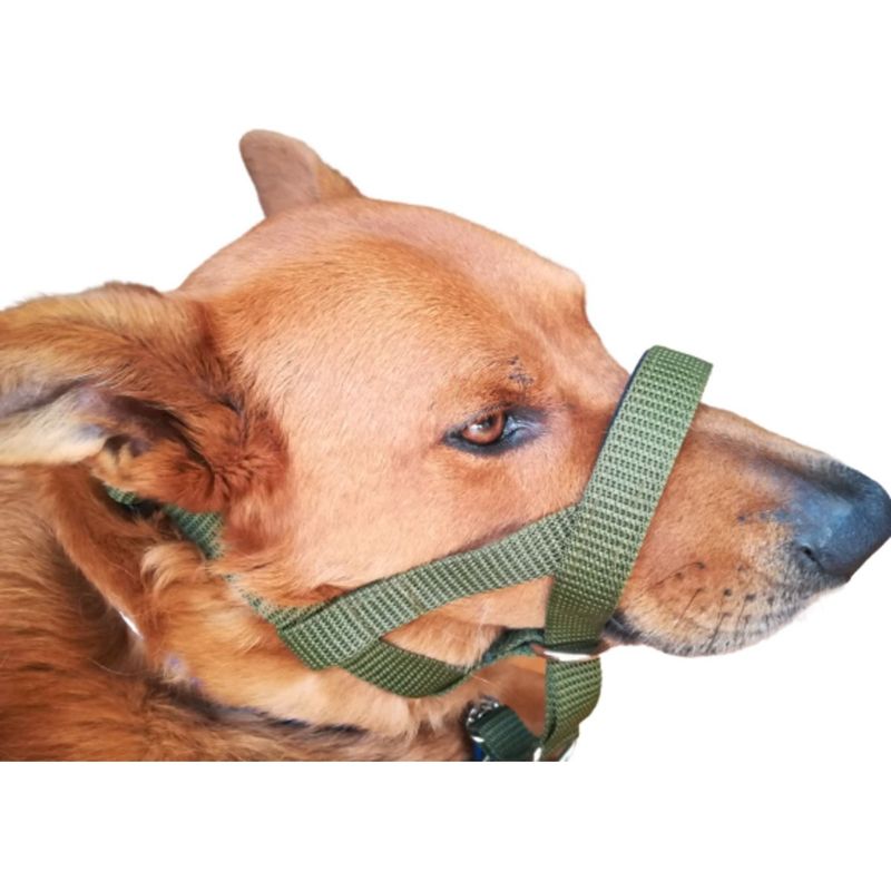 GENERICO - Collar Halti AntiTirones  Correa Talla M Verde Militar