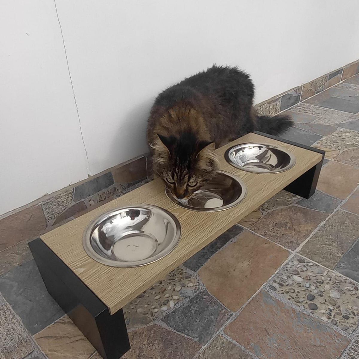 GENERICO - Comedero para Mascota Athos Madera Y Inoxidable 3 Platos 500gr 65x20x12cm