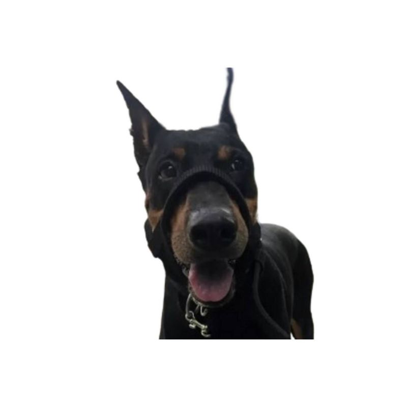 GENERICO - Collar Halti  Anti Tirones Táctico Adiestramiento (XL) Negro
