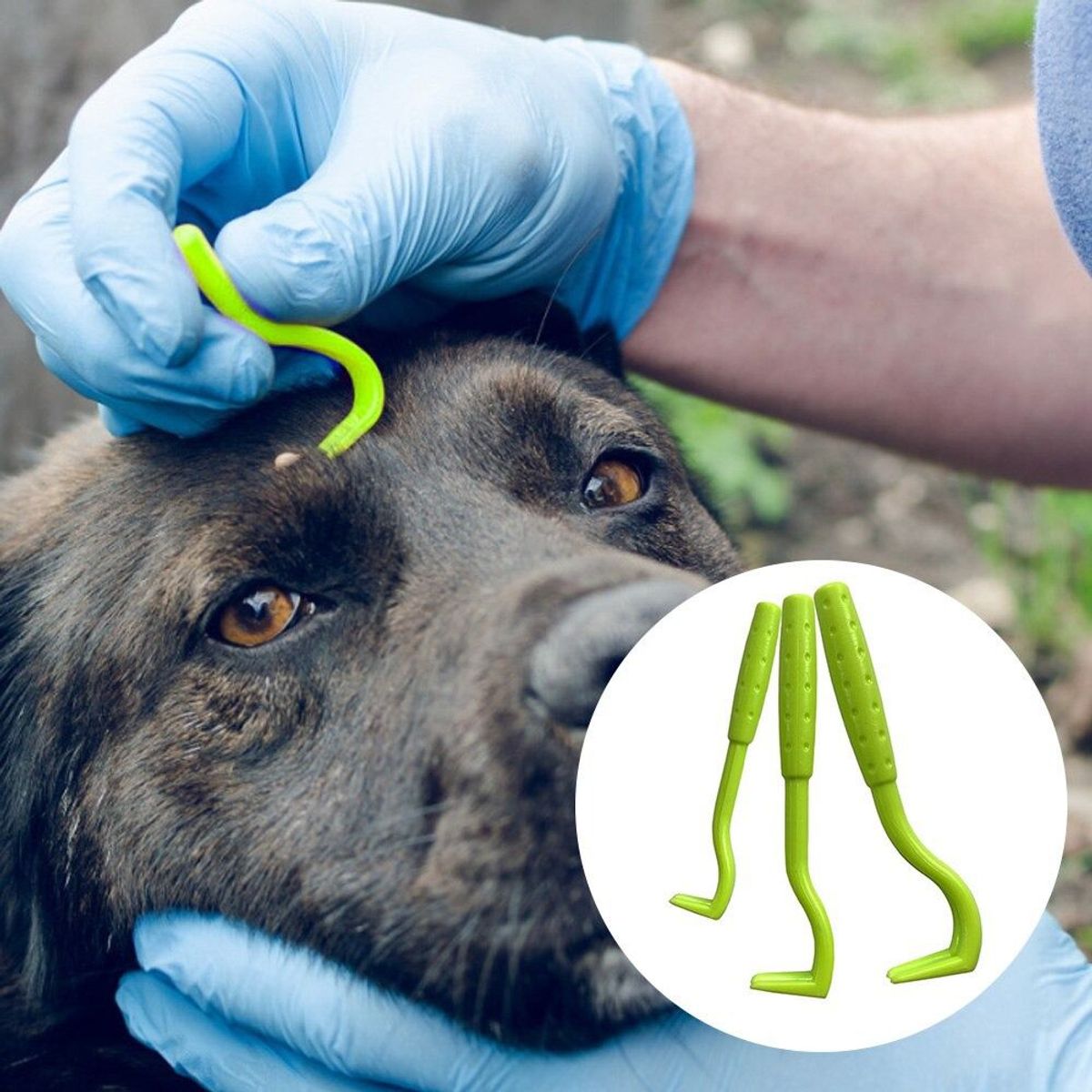 GENERICO - Kit De 6 Unidades De Herramientas Perros Y Gatos Limpieza