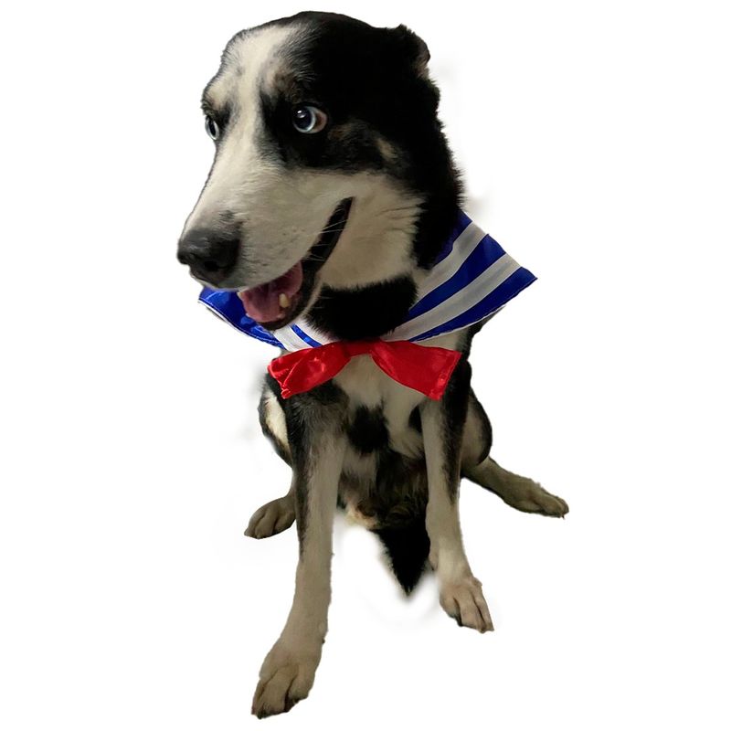 AMERICO SHOP - Disfraz de Marinero para Perro Grande Mascota Talla 5XL