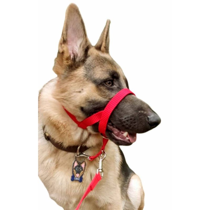 GENERICO - Collar Halti AntiTirones  Correa De120 Cm Talla L Rojo