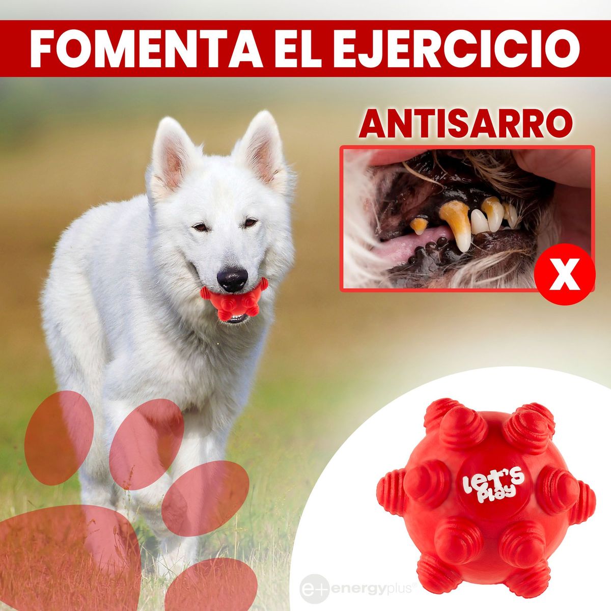 ENERGY PLUS - Juguete Pelota Goma Rebote Único con taches Rojo
