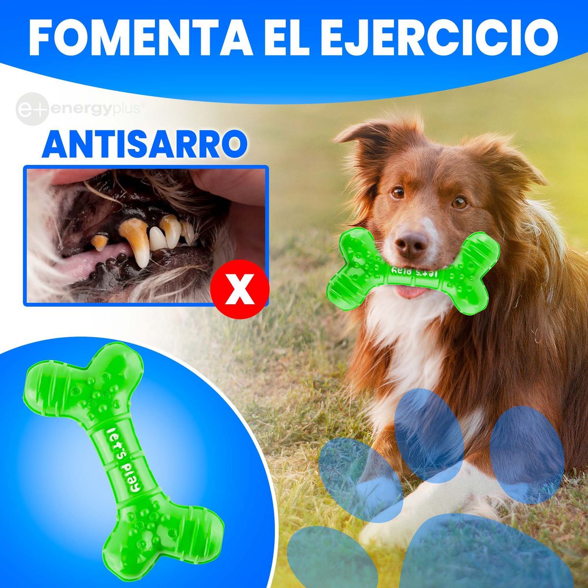 ENERGY PLUS - Juguete Mordedor Dental Hueso Perros Med Verde