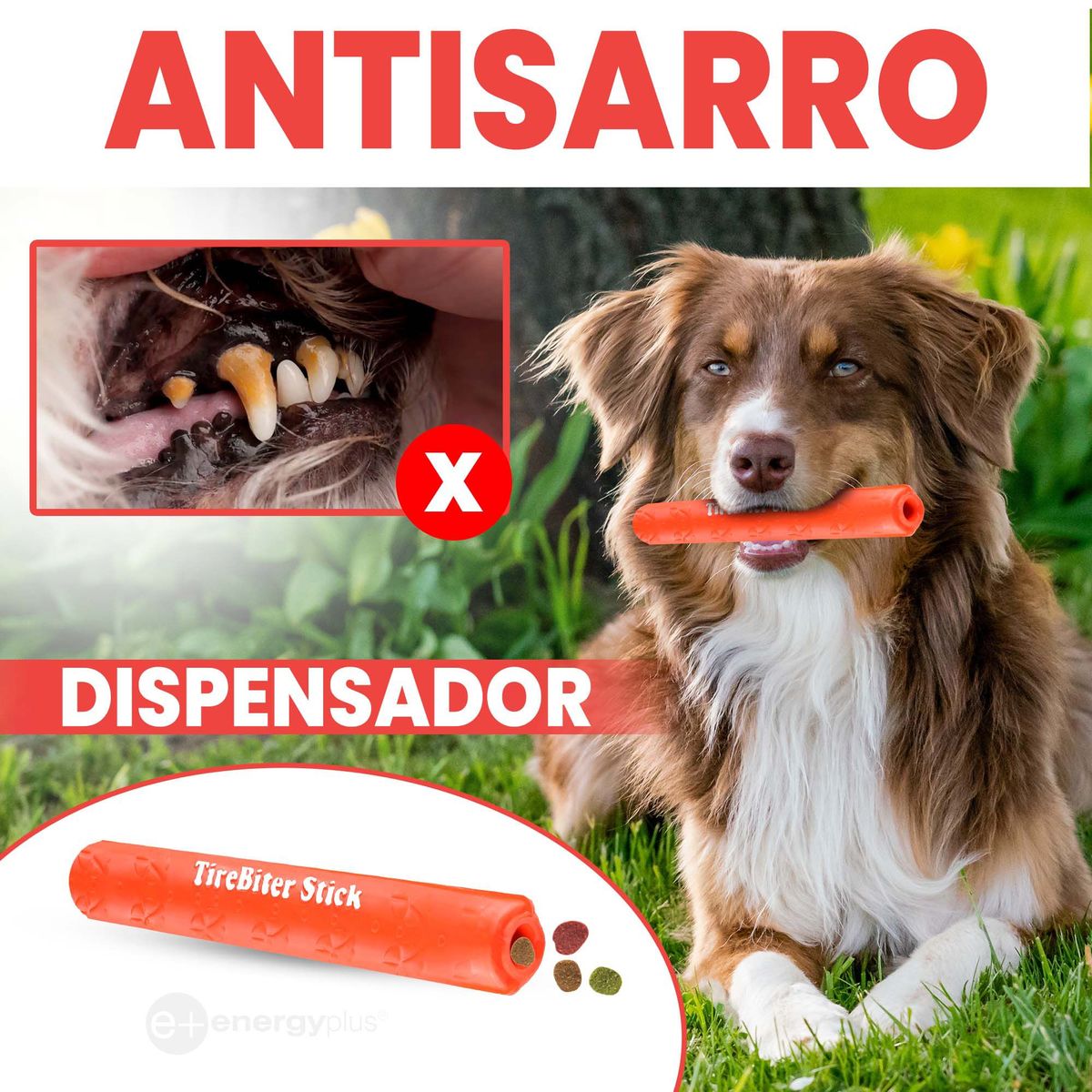 ENERGY PLUS - Juguete Bastón Rellenable Perros 30cm Goma Segura Naranja