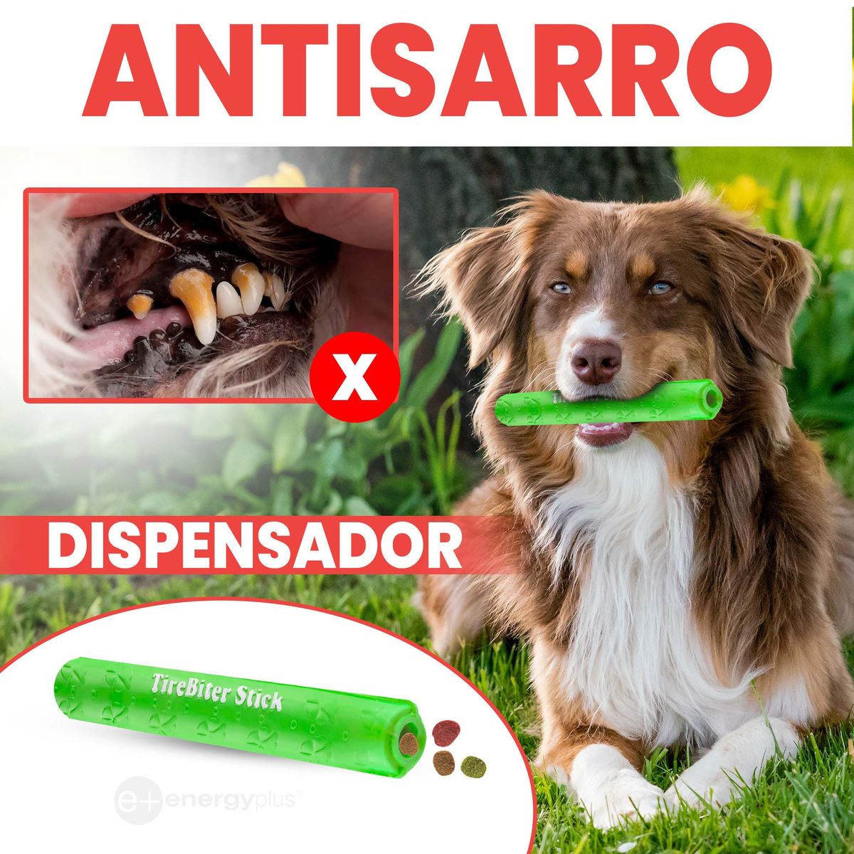 ENERGY PLUS - Juguete Bastón Rellenable Perros 30cm Goma Segura Verde