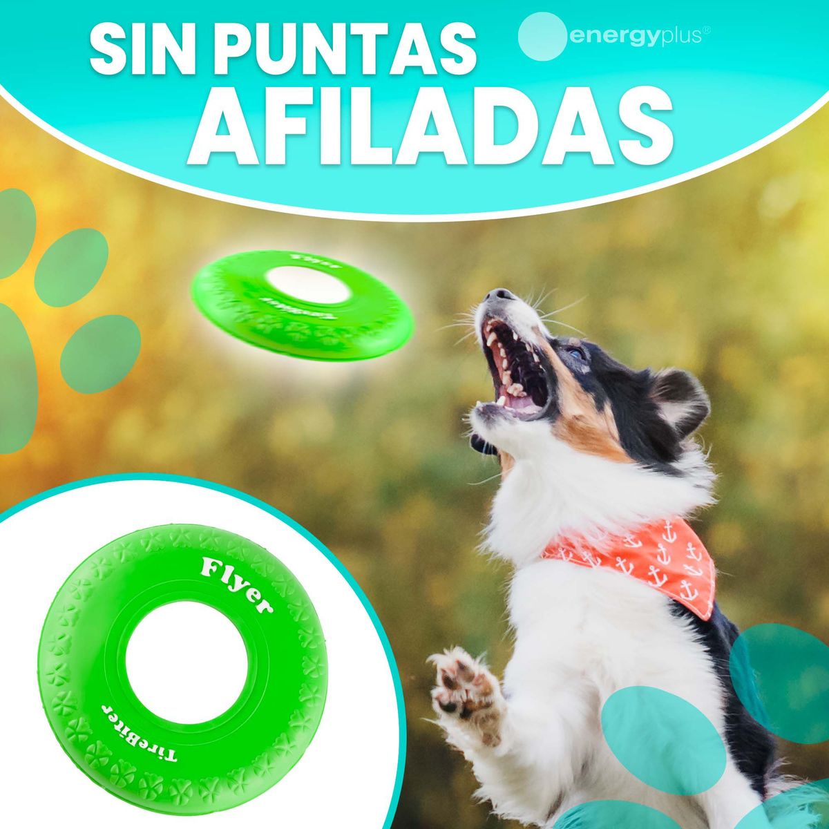 ENERGY PLUS - Frisbee Goma Segura Perros Ideal para Adiestramiento Verde