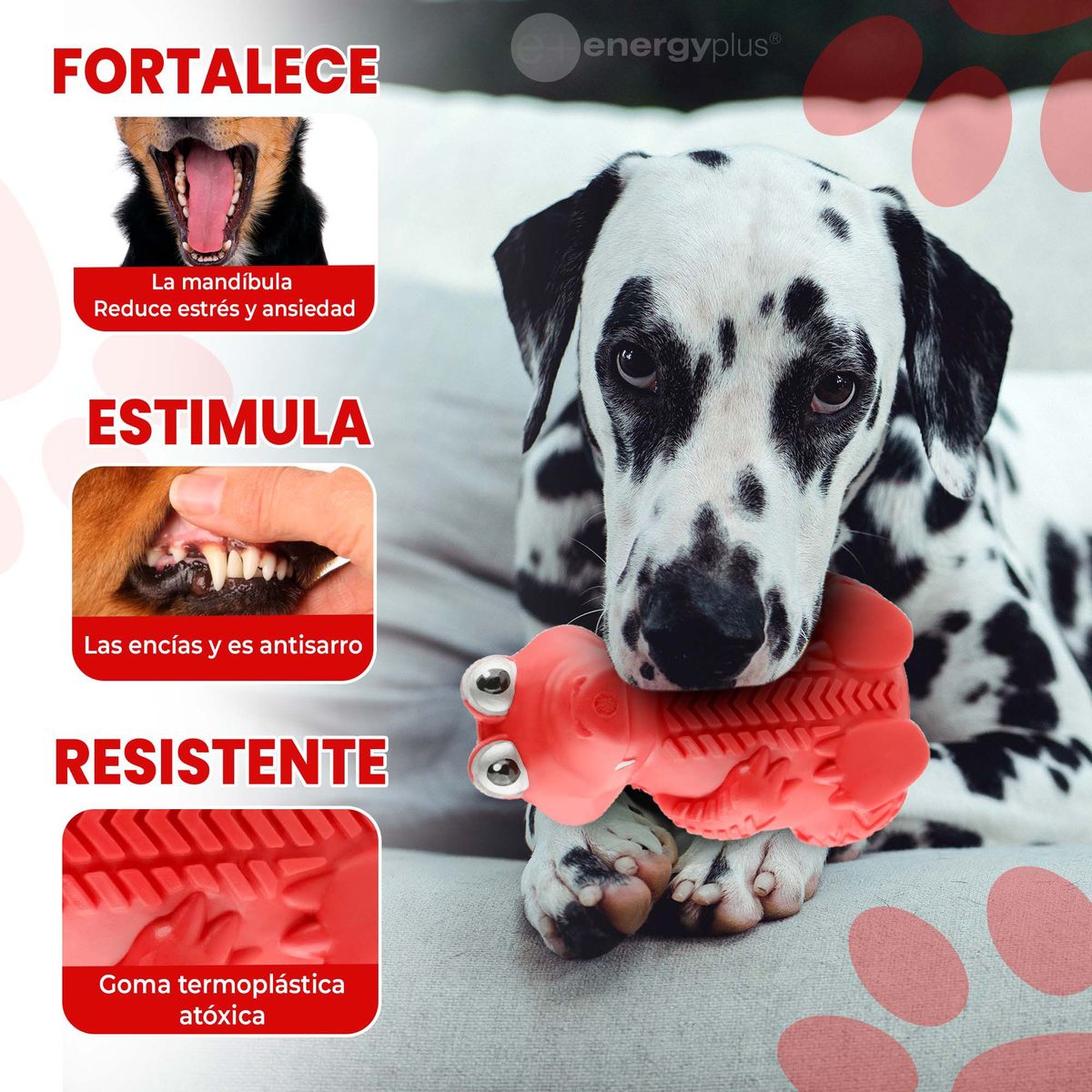 ENERGY PLUS - Juguete Interactivo Kong Masticable Goma para perros Rojo