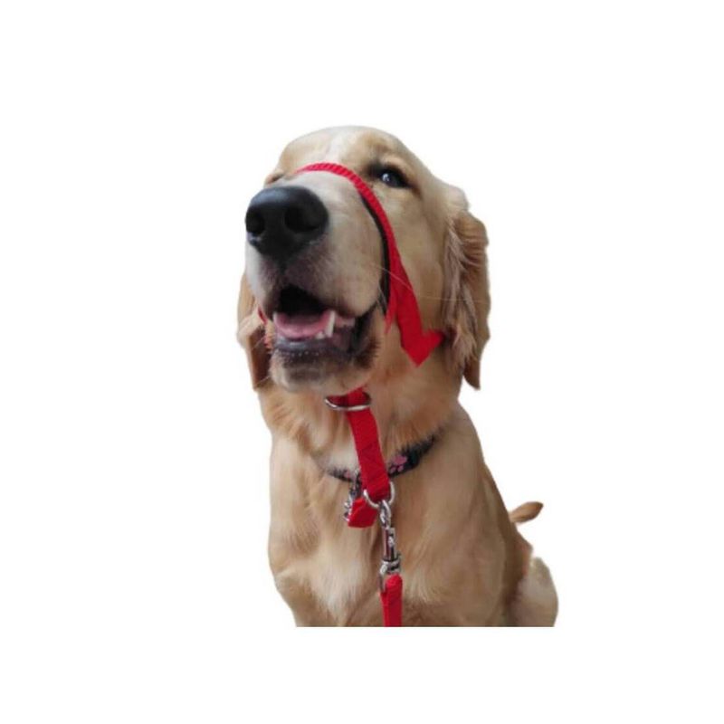 GENERICO - Collar Halti Anti Tirones Adiestramiento Talla (L ) Rojo