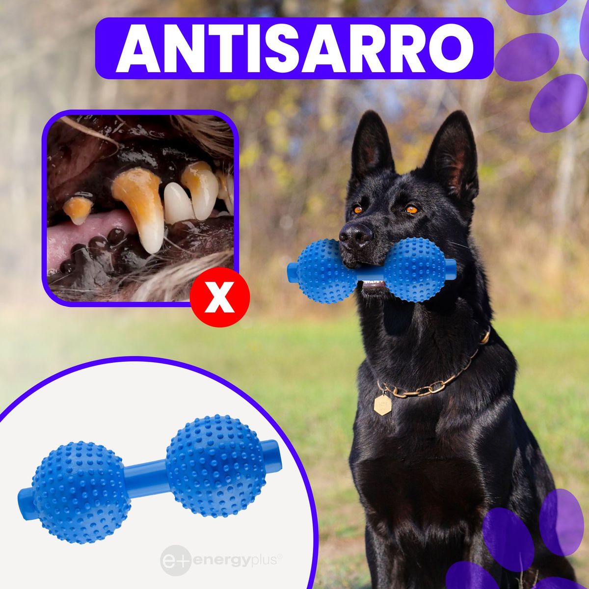 ENERGY PLUS - Juguete Mordedor Pesa Fortalecedor Azul