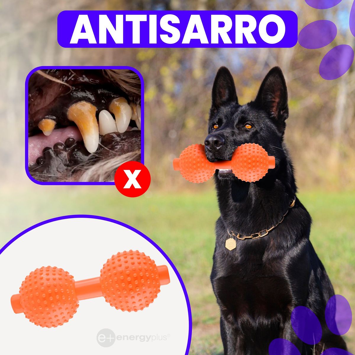 ENERGY PLUS - Juguete Mordedor Pesa:  Fortalecedor Naranja