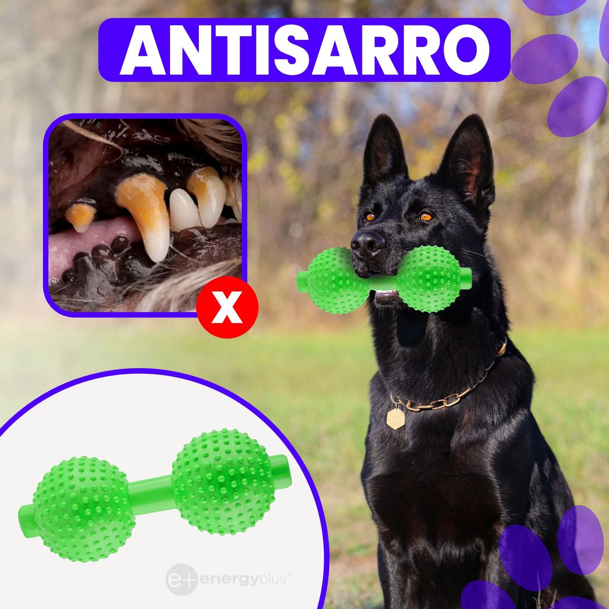 ENERGY PLUS - Juguete Mordedor Pesa Fortalecedor Verde