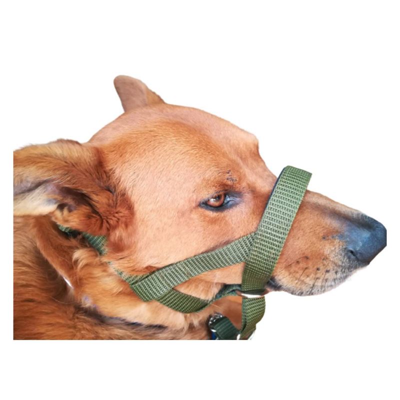 GENERICO - Collar Halti Anti Tirones, Correa 120 Cm (XL) Verde Militar