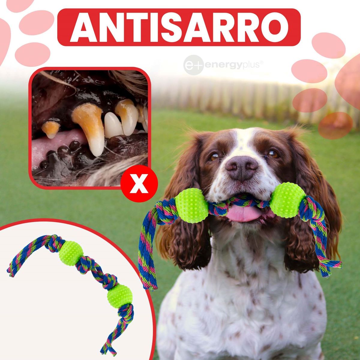 ENERGY PLUS - Juguete Perro Pelotas y Cuerda Ejercita Antisarro Verde