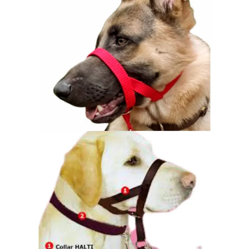 GENERICO - Collar Halti  Anti Tirones + Correa + Collar Común (XL) Rojo