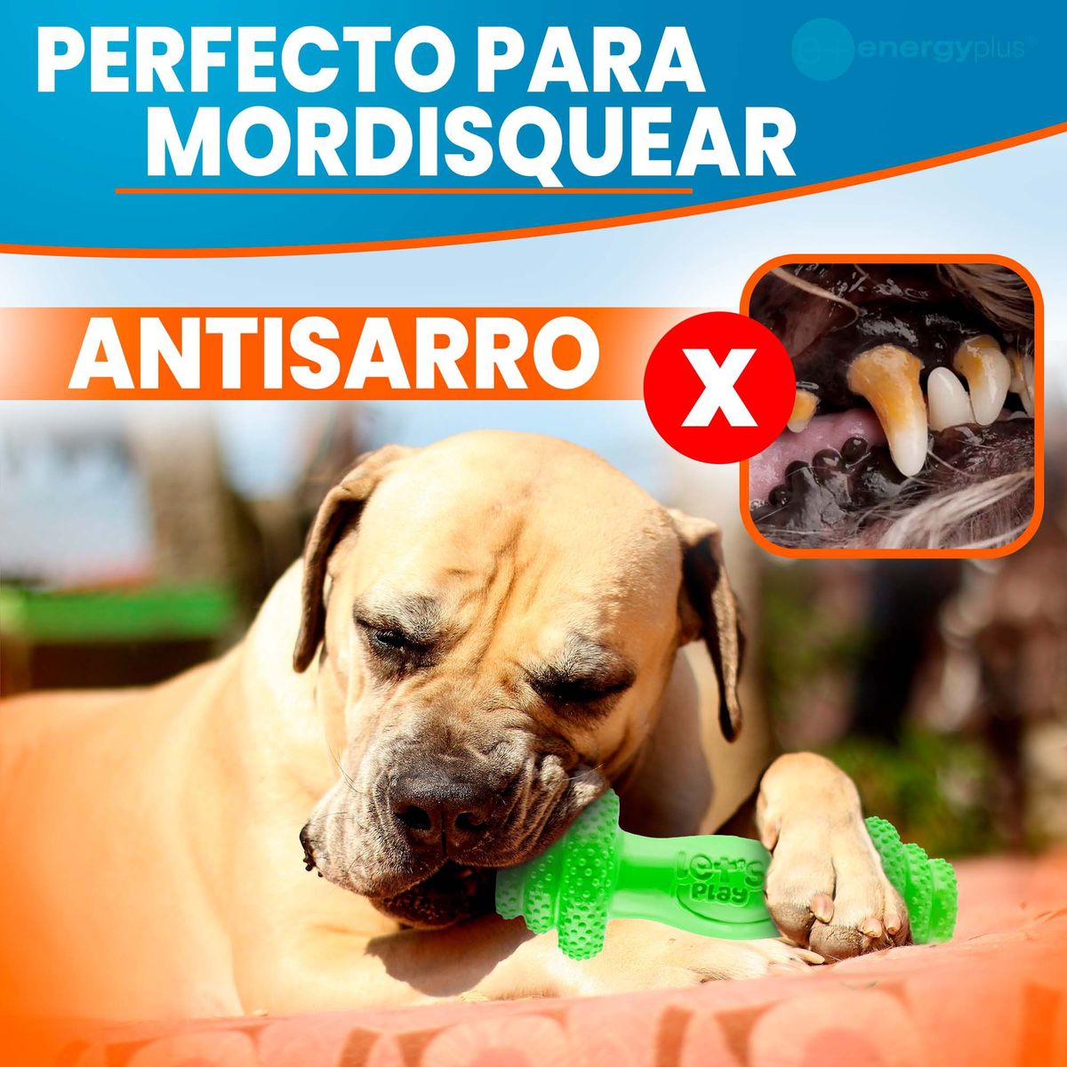 ENERGY PLUS - Juguete Mordedor Perros Grandes Verde