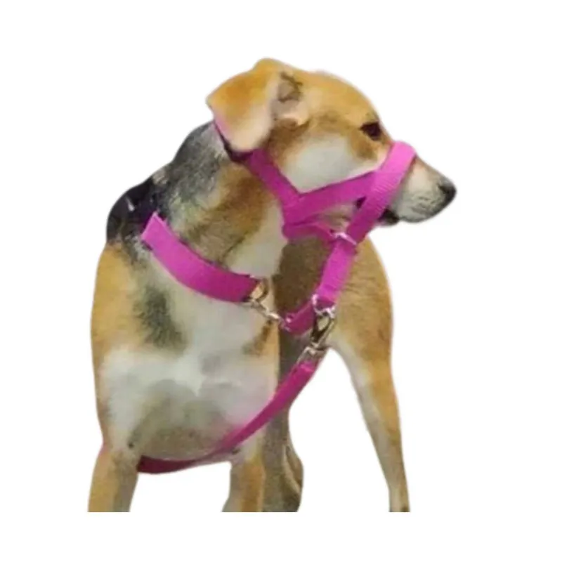 GENERICO - Collar Halti  Anti tirones, Correa y Collar Común XL Fucsia