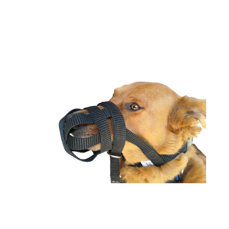 GENERICO - Bozal y Collar halti Canasta 2 En 1 Anti tirones (L ) Negro
