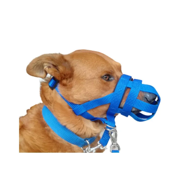 GENERICO - Bozal y Collar halti Canasta 2 En 1 Anti tirones  (L ) Azul