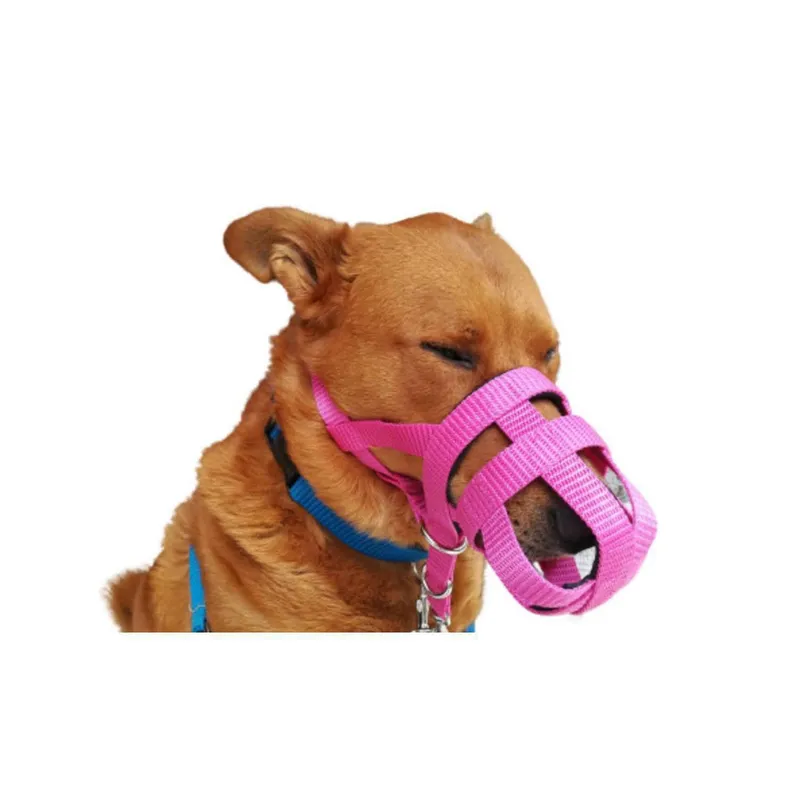 GENERICO - Bozal y Collar halti Canasta 2 En 1 Anti tirones (L ) Fucsia