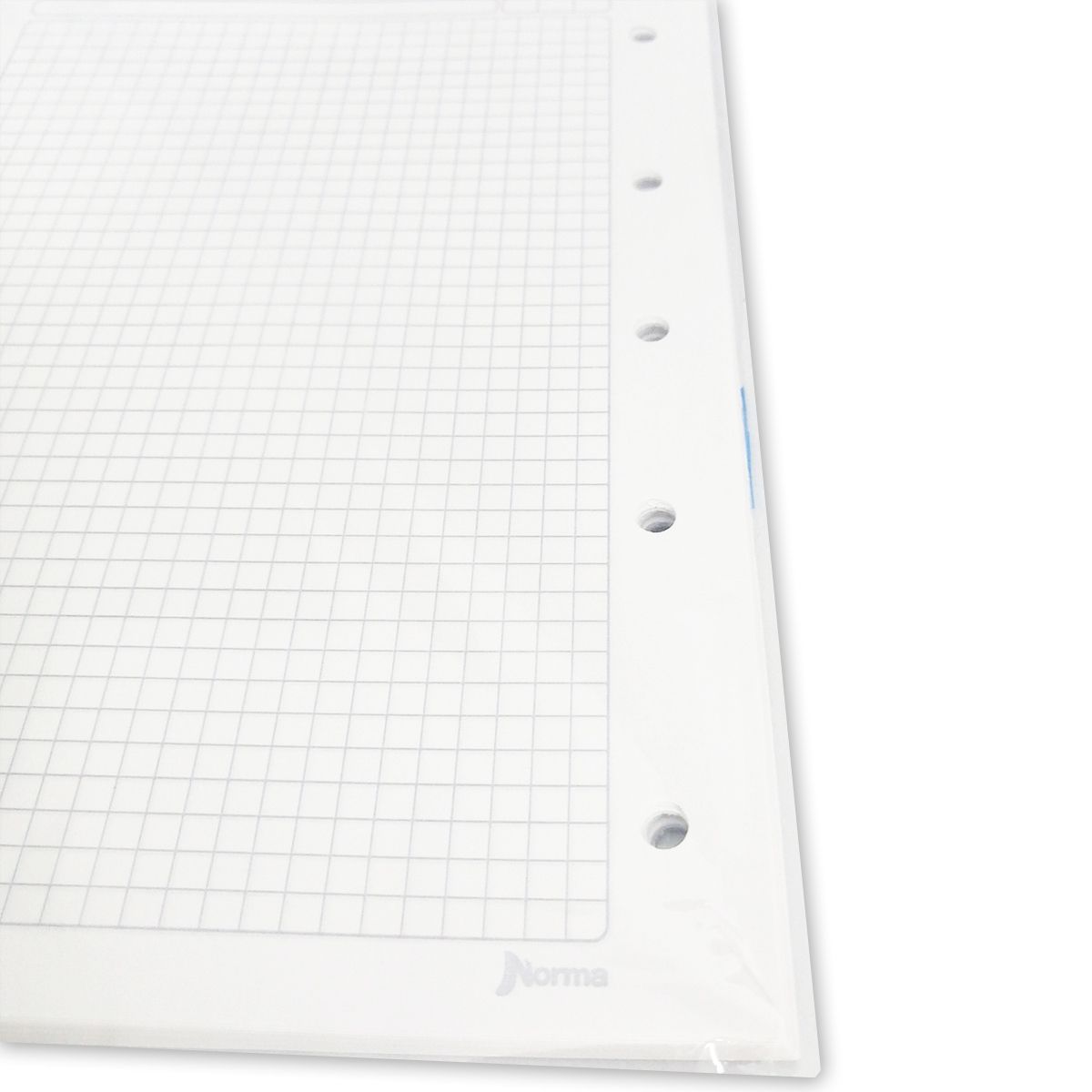 NORMA - Repuesto De Hojas Cuadriculadas Para Folder 16x23 Cm