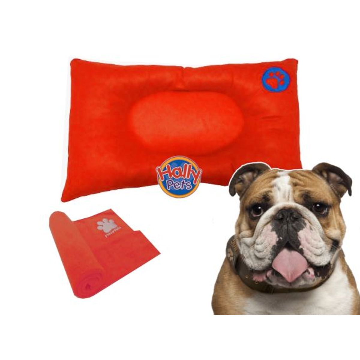 HALLY PET - Colchón Premium Grande Huella Bordada mas Cobija Grande Naranja