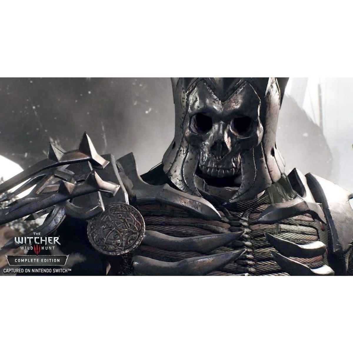 WARNER BROS - The witcher 3 wild hunt complete edition - nintendo switch