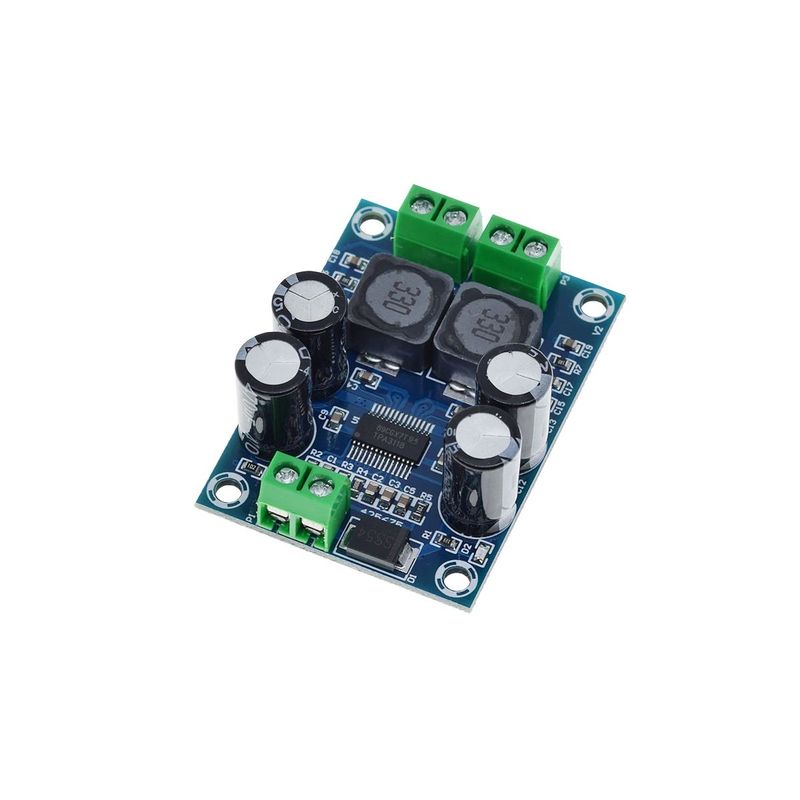 GENERICO - Amplificador Audio Mono XH-M311 TPA3118 60W 2-6 Ohm 10-24V