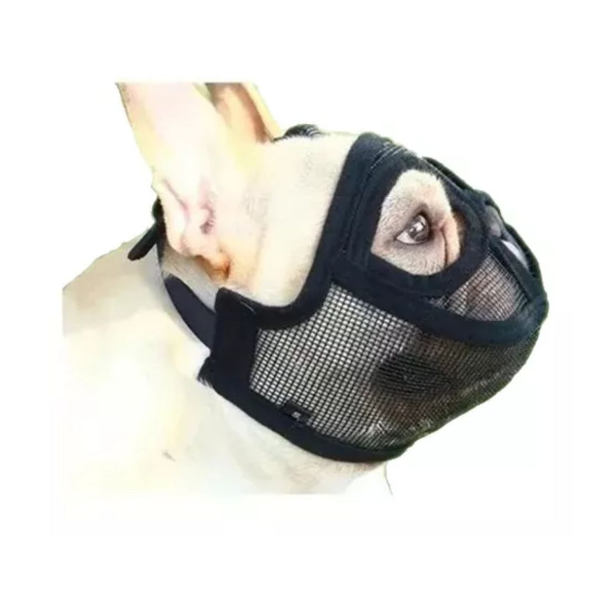 AFM - Bozal para perros Bulldog talla M