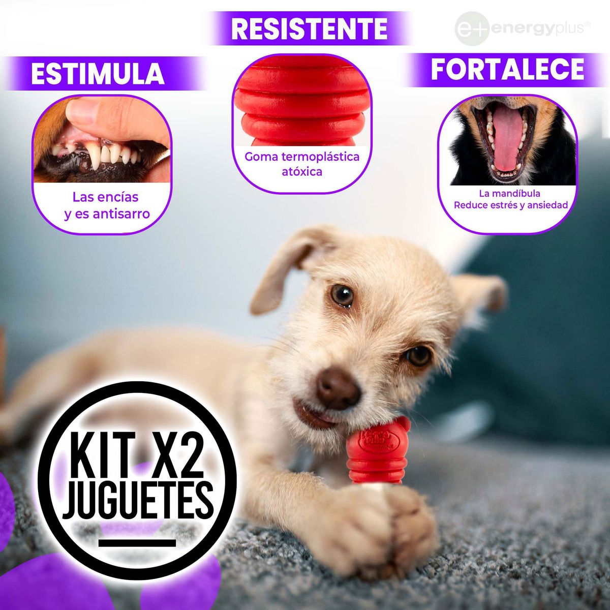 ENERGY PLUS - 2 Kong: Juguete Interactivo para Perros Pequeños Azul Rojo