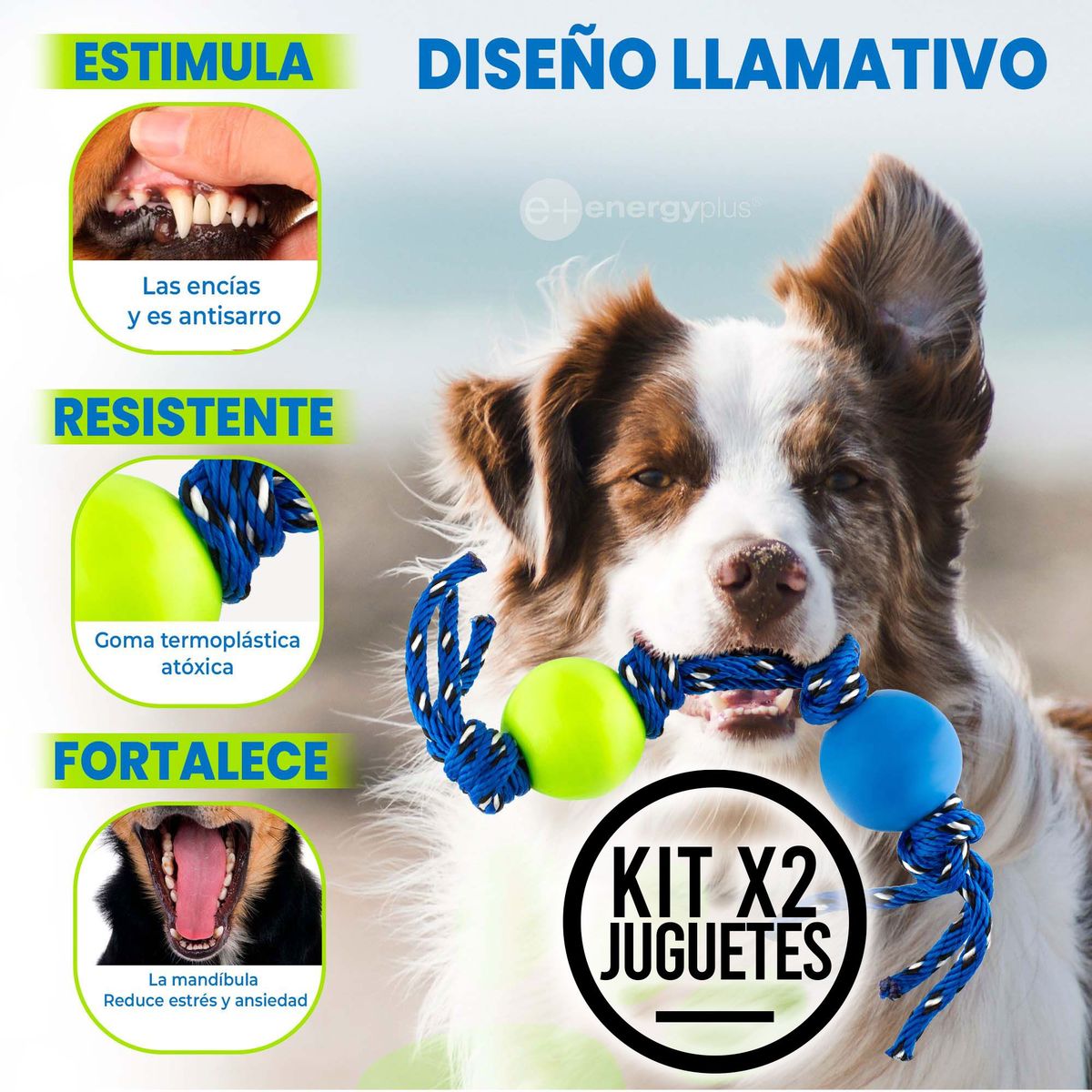 ENERGY PLUS - 2 Juguetes Cuerda Perros pequeños Naranja Verde