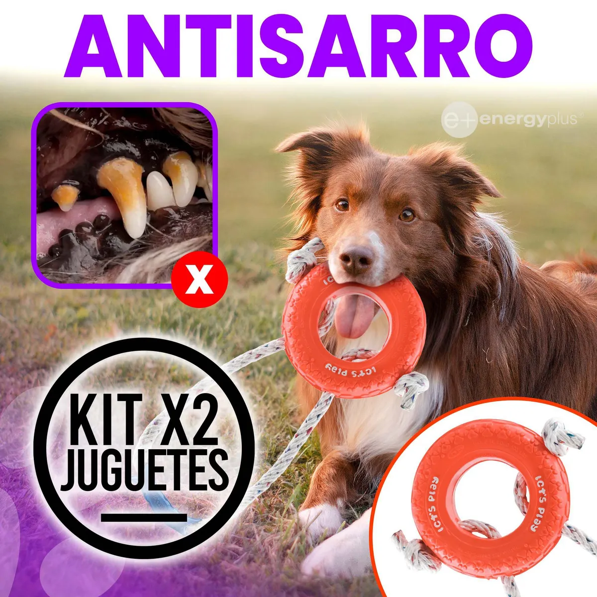 ENERGY PLUS - Set X2 Llantas Razas Grandes Manija y Cuerda Naranja Verde