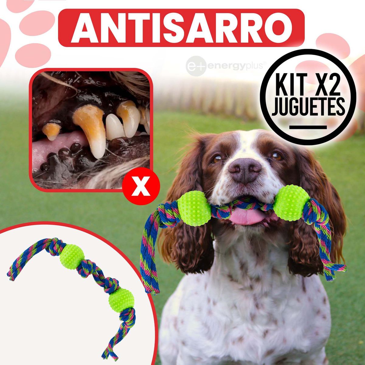 ENERGY PLUS - 2 Juguetes Perro Pelotas y Cuerda Antisarro Naranja Verde