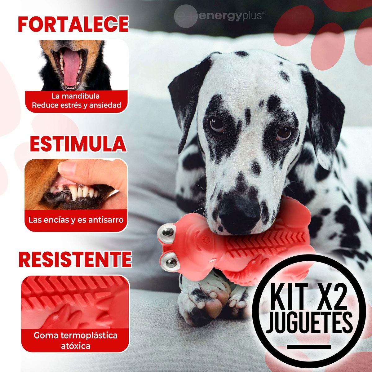 ENERGY PLUS - 2 Kong Goma Resistente Perros Azul Rojo