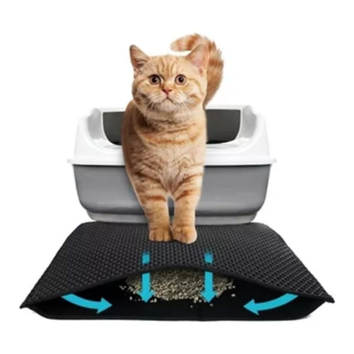 AFM - Tapete Cernidor de arena mediano para gatos