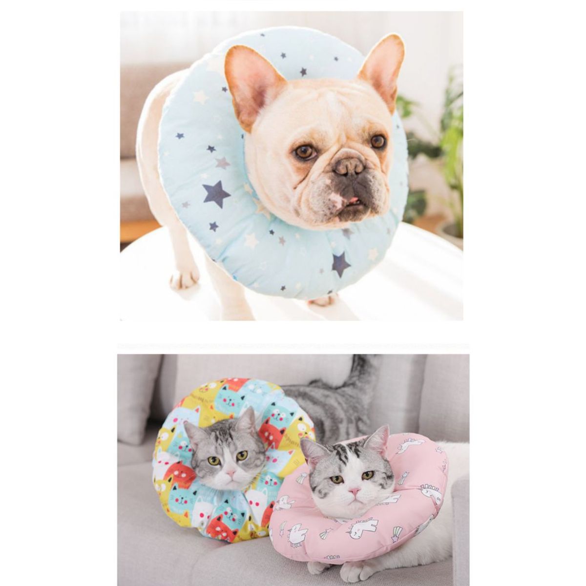 AFM - Collar Isabelino Tipo Dona talla S